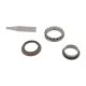Meritor Differential Adjusting Ring Repair Kit | # TDA KIT-2920