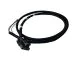 Freightliner International Harness | # A06-46072-000 From Tracey Truck Parts, Freightliner Engine Harness, Engine Harness, International Engine Harness,