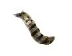 CAT Tube AS - DRAIN, Part # 145-2421 From Tracey Truck Parts, CAT Tube Assembly, CAT Parts For Sale Online, CAT Engine Parts, CAT Drain Tube