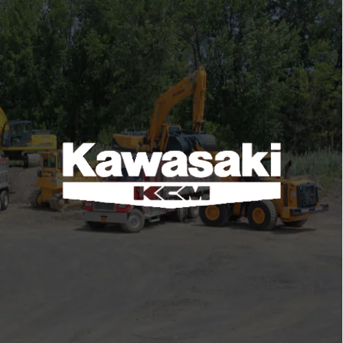 Kawasaki Parts